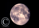 The Moon